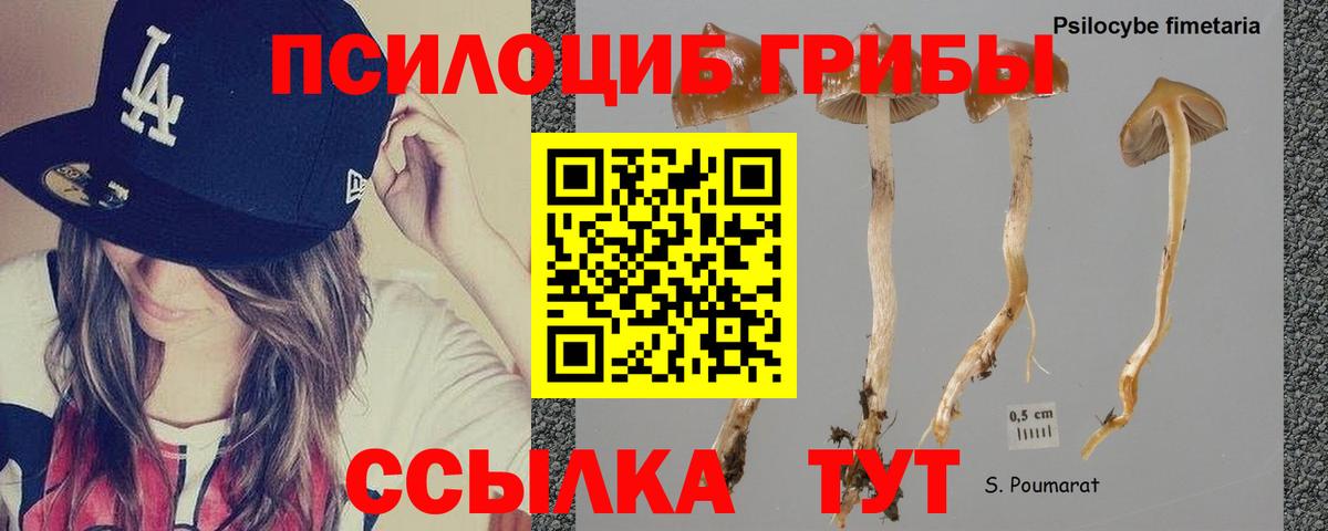 Киселёвск  даркнет сайт  Вход с VPN  Галлюциногенные грибы ЛСД 